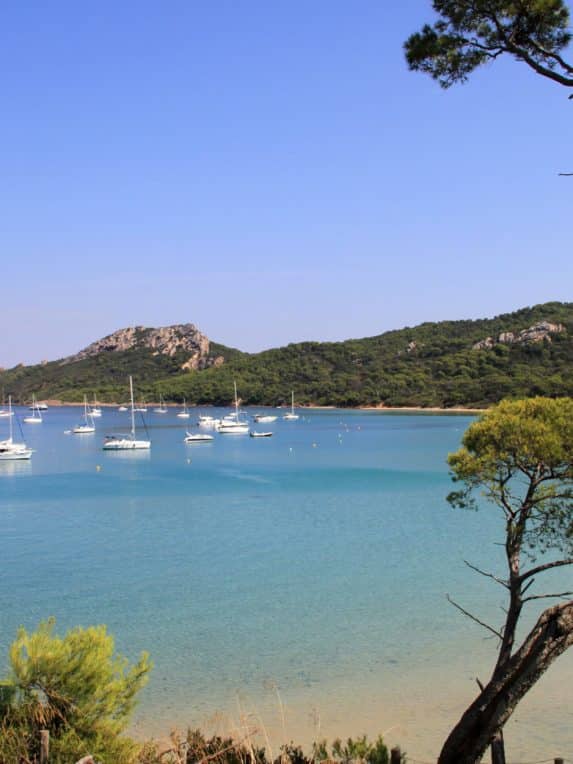 Ile Porquerolles